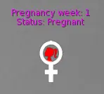 Pregnant_period