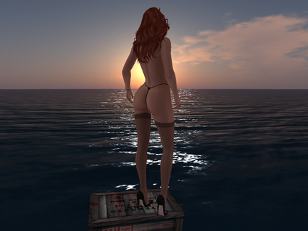 Snapshot 002
