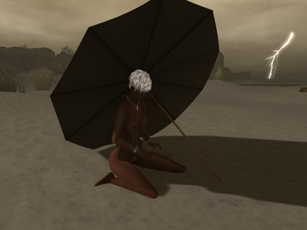Snapshot 006