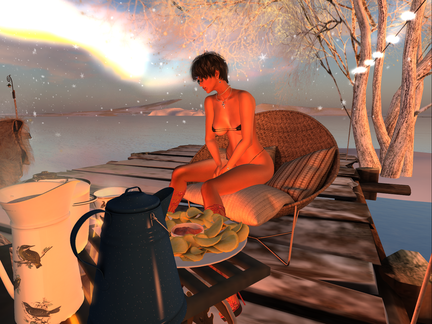 Snapshot 003