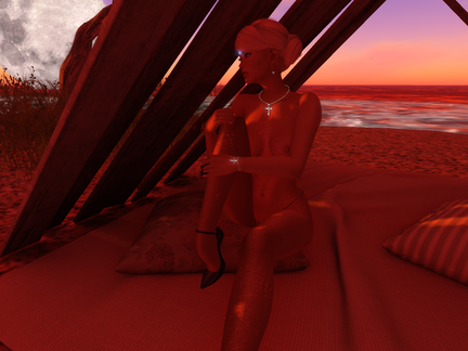 Snapshot 022